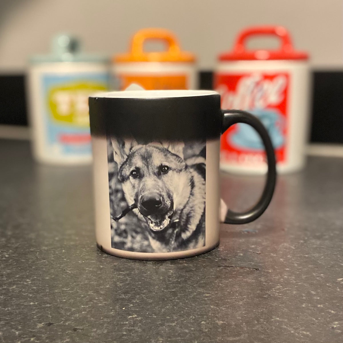 Heat Change Mug